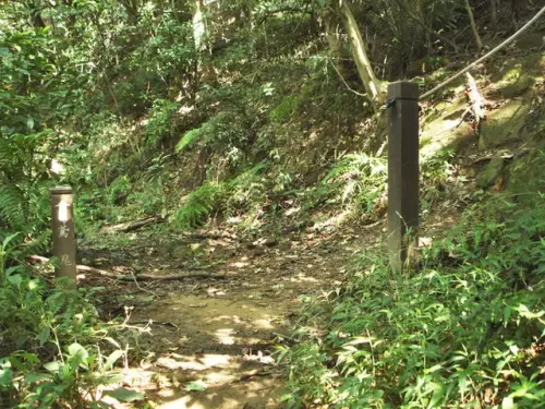 00002 鳶尾山步道.webp