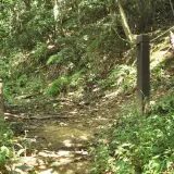 00002 鳶尾山步道