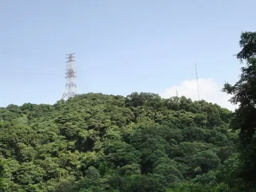00006 仰望鳶山岩.webp