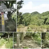 00009 長春嶺遠眺鳶山連峰