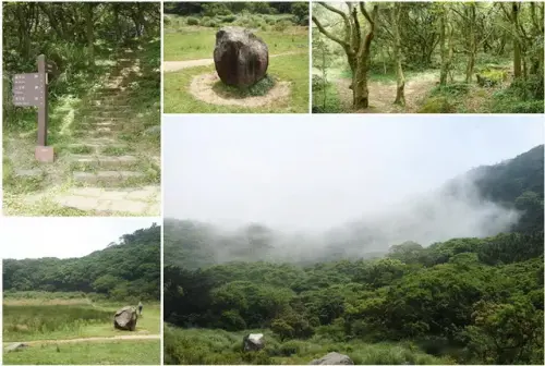 00019 向天池.webp