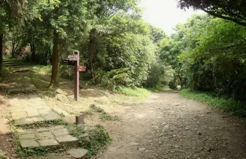 00014 二子坪步道往面天山叉路.webp