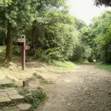 00014 二子坪步道往面天山叉路