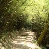 00021 二子坪步道