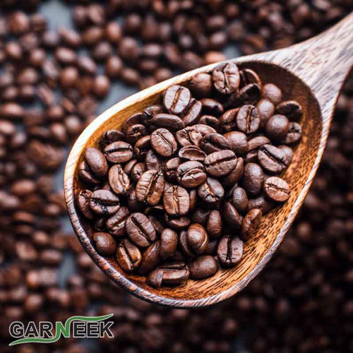 Ø¯Ø§ÙÙ ÙØ§Û ÙÙÙÙ2.jpg