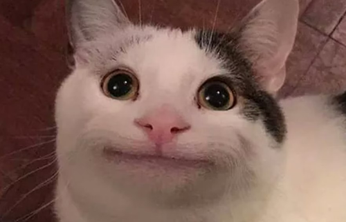 Untitled design (2).png