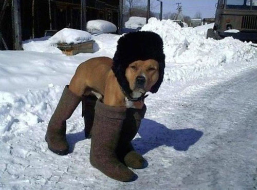 meanwhile in russia part 2 640 57.jpg