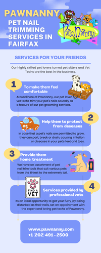 Stress-Free Pet Nail Trimming in Fairfax: Your Pet Deserves the Best.png