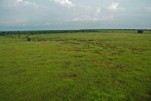 Alliance for Reversing Ecosystem Services Threats (AREST).jpg