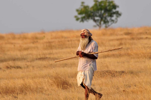 Creating a knowledge base for conservation and restoration of semi arid grasslands in India for Peop.jpg