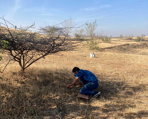 Estimating soil carbon stocks in semi arid grasslands in India.jpg