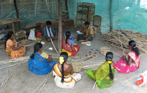 Developing alternative uses of Lantana and its ecological impact in Malai Mahadeswara Wildlife Sanct.jpg
