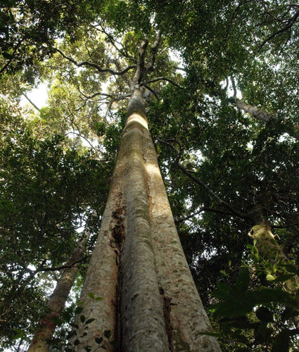 Long term ecological monitoring vegetation montoring.jpg