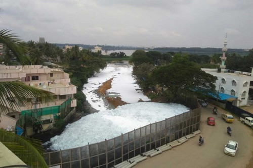 Chudasandra Lake Restoration, Bengaluru.jpg