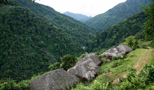 Conservation of Community owned forests and biodiversity in Siang and Dibang Valley.jpg