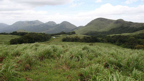 Nature Positive Solutions for Shifting Agrifood Systems to More Resilient and Sustainable Pathways (.jpg