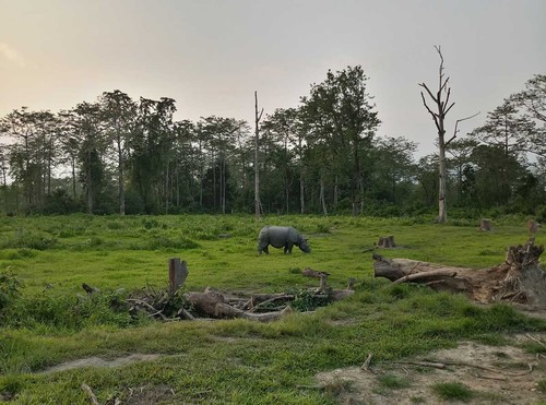 Occupancy and resource use by mammals in the socio ecological production landscape of Darjeeling Sik.jpg