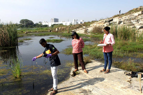 Living Labs and community engagement for restoration and sustainability of urban lakes.jpg