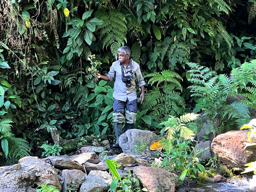 Biological Resources (wild Plant) of NE India.jpg