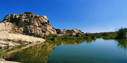 Biodiversity and Ecosystems services restoration of Venkateshpura .jpg