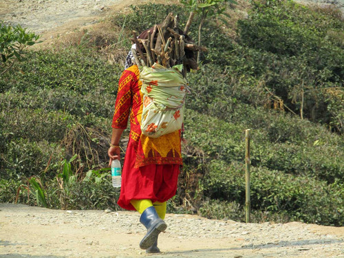 Transforming lives through Efficient Energy Technologies and Restoration of degraded lands in the Te.jpg