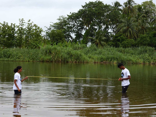 Riparian zone restoration and associated biodiversity along the Tamiraparani River, Tamil Nadu..jpg
