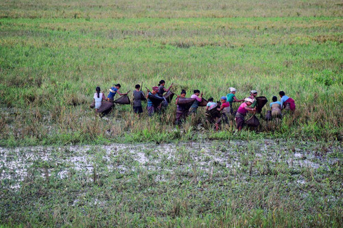 Value Added Products from Invasive Plant Species for Improving Livelihoods of Marginalized Communiti.jpg