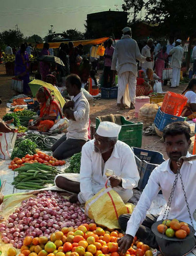 Sustainable and Healthy Food Systems (SHEFS) 2.jpg
