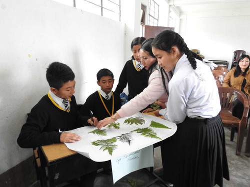 Wild edible plants of Dzongu Valley, Sikkim, India Conserving diversity, traditional knowledge and p.jpg