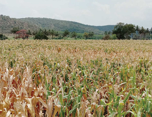 Scoping for corridors to connect protected areas in the Western Ghats.jpg