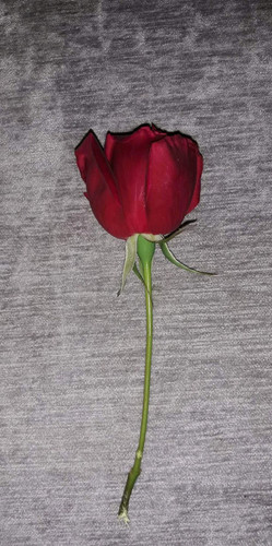 6231fbcf097e.jpg