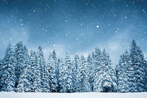 snowfall.jpg