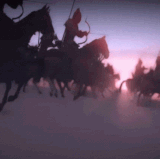 IMG 8392.gif