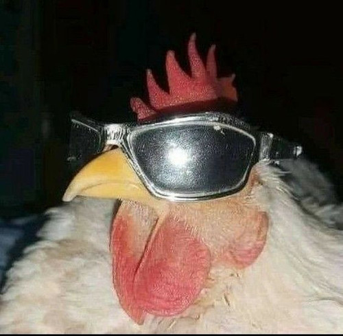 711c37c2dee1.jpg