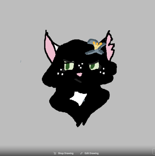 Screen Shot 2023 09 03 at 4.06.41 PM.png