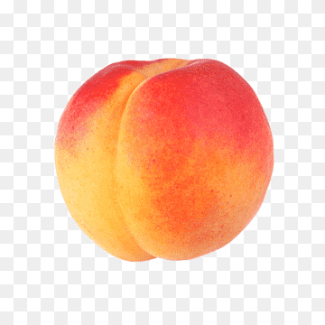 png transparent peach peach food orange sticker thumbnail.png