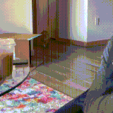 kotdeva1.gif