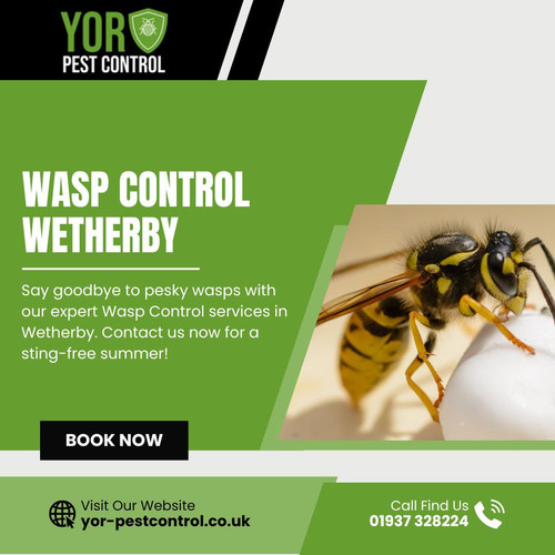 Wasp Control Wetherby (2).jpg