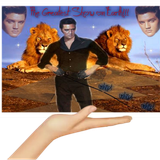 11355437yHl5LBf.png