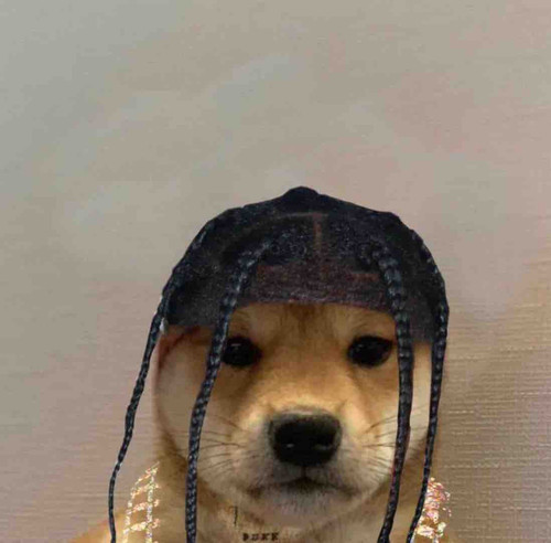 C2521776 D69B 440E 8C98 7C4F906620E4.jpg