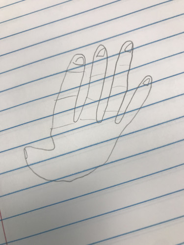 66FDB6D3 469D 46E9 87F4 B1D036E5EB3D.jpg