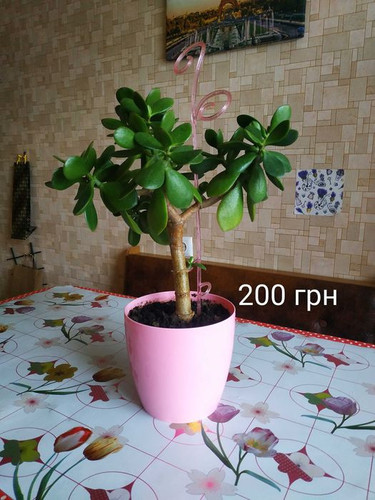 80b3cc034415.jpg