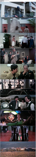 最佳拍档2.Aces.Go.Places.1983.BDRip.1080p.x265.10bit.AC3.2Audio DGB.jpg