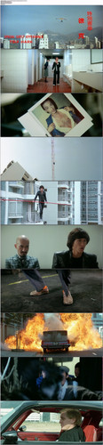 最佳拍档.Aces.Go.Places.Ⅰ.1982.BDRip.1080p.x265.10bit.AC3.2Audio DGB.jpg