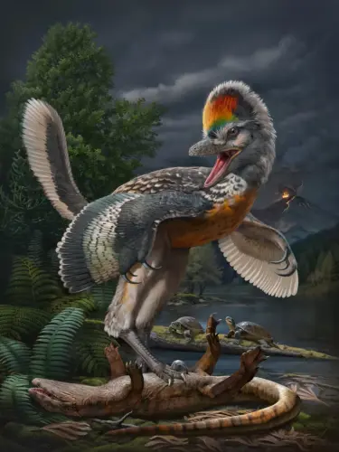 fujianvenator prodigiosus 769x1024.webp