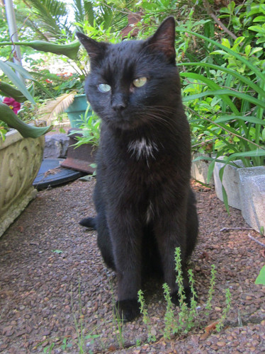 IMG 0127.jpg