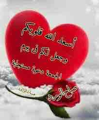 6BF53BE0 A37E 4639 90B2 79AEE28E9D22.jpg