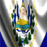 Foro Nayib Bukele(1).gif