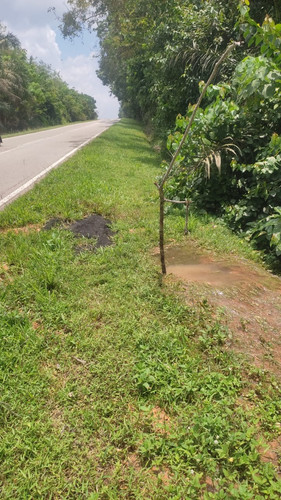 lui selatan.jpg