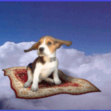 8165221gWBAAK1c.gif